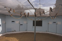 Interior Nucleo de Parejas